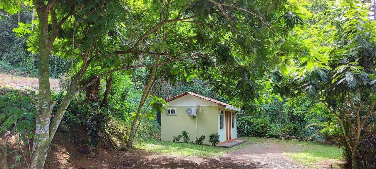 Hostal Y Cabinas Anita-And Rafting Tour! Siqurres Da Alegria Екстер'єр фото