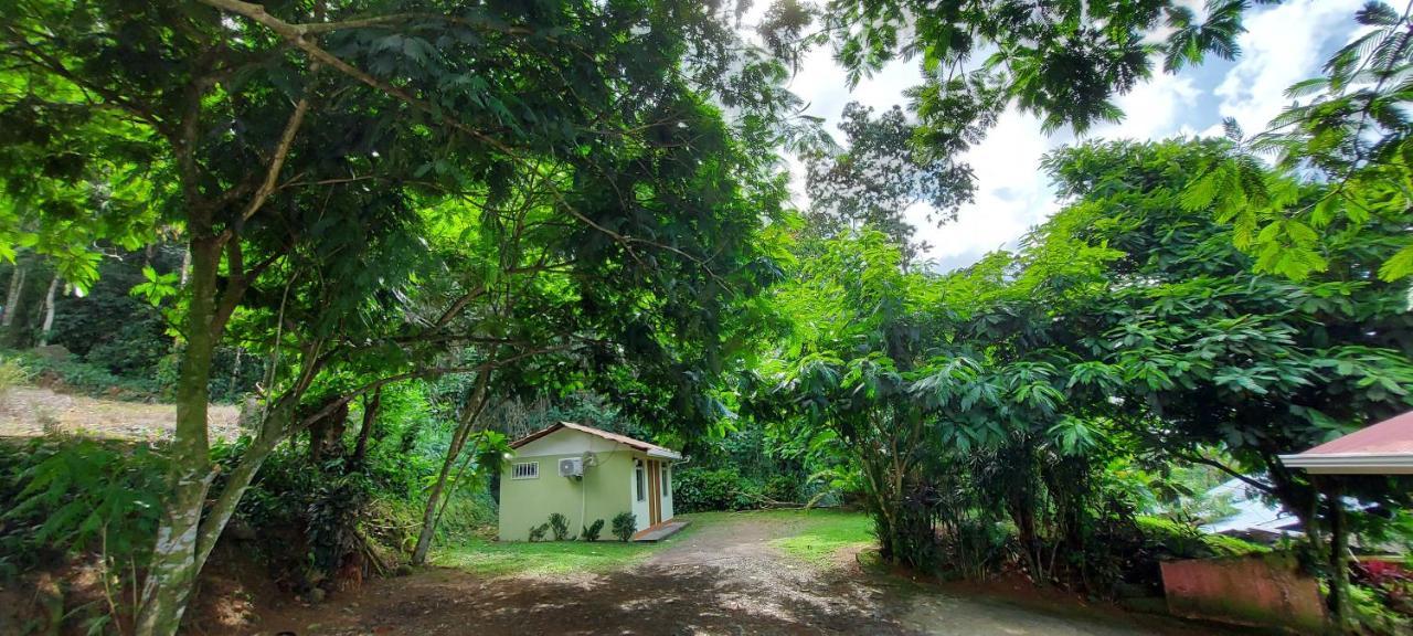 Hostal Y Cabinas Anita-And Rafting Tour! Siqurres Da Alegria Екстер'єр фото